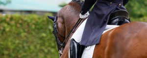 Equestrian Facilities & Services