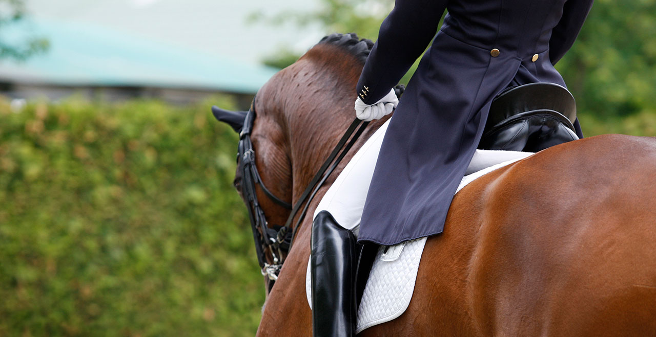 Humberstone Farm Equestrian Centre