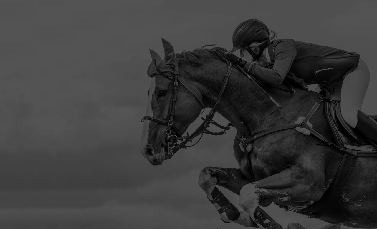 Humberstone Farm Equestrian Centre