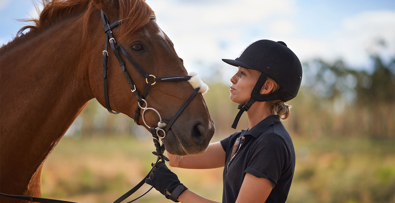 Horse with rider
