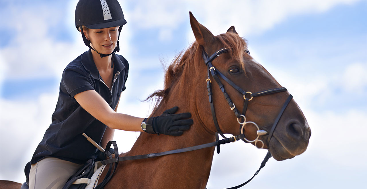 Horse and Rider