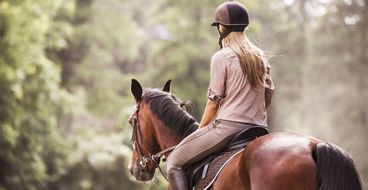 Horse Riding
